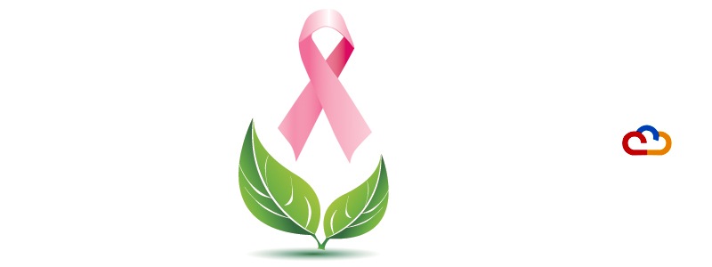 Breast Cancer and Environment