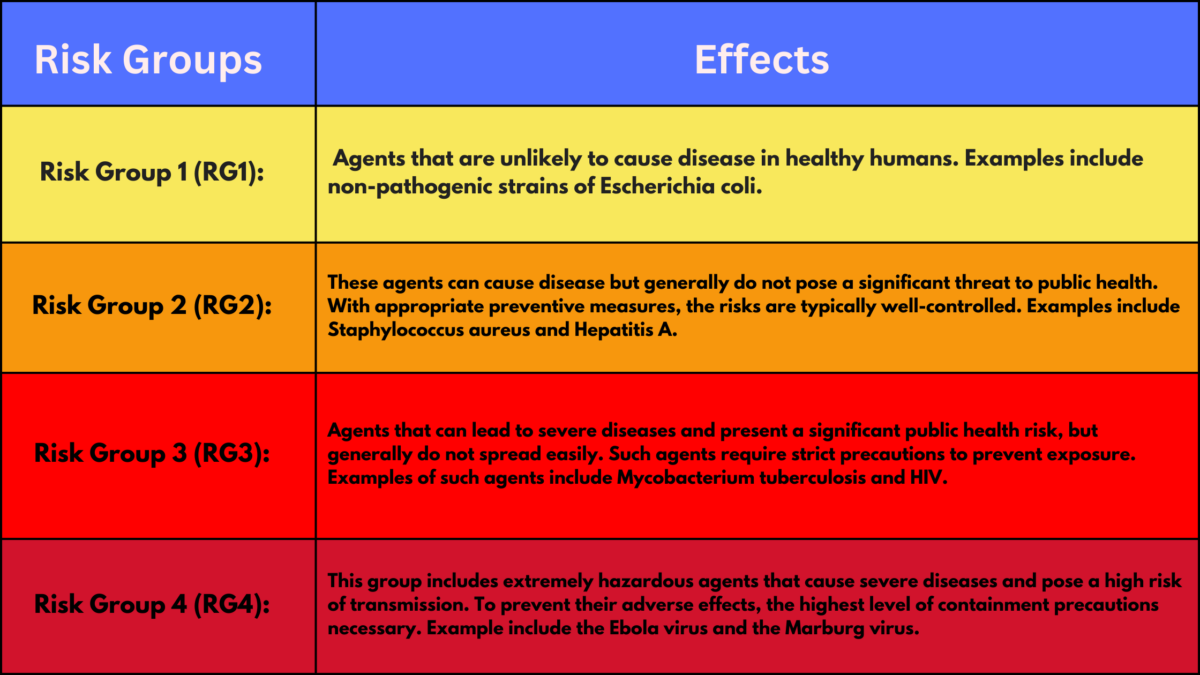 Types of Biological Hazards: Examples, Risks & Safety Measures