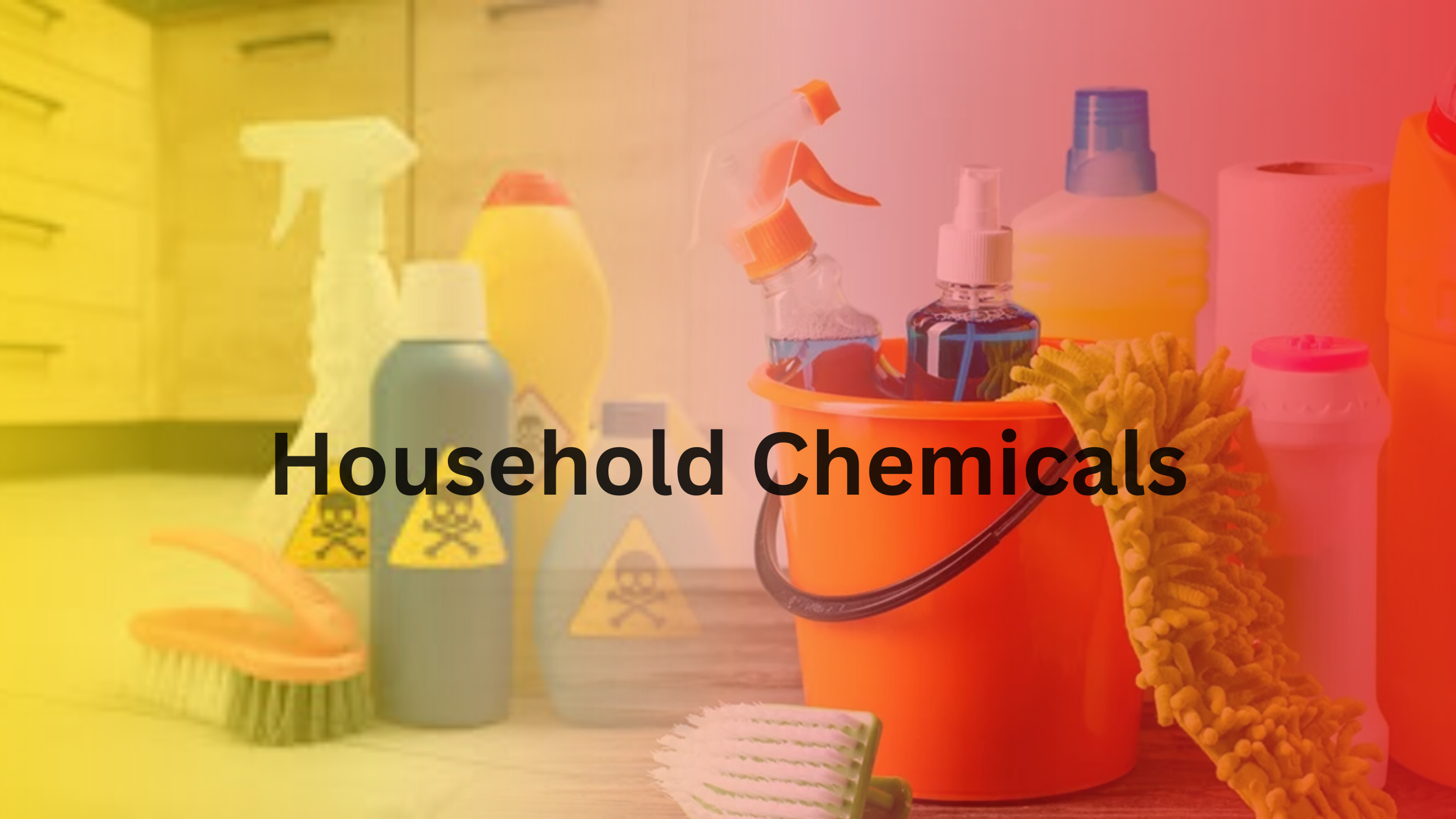 Household